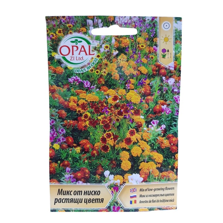 Seminte de Flori de inaltime mica, 1 gram, Opal