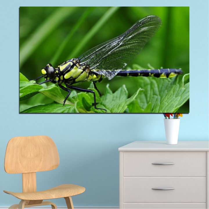 Декоративни панели Vivid Home от 1 част, Природа, PVC, 35x25 см, №0499