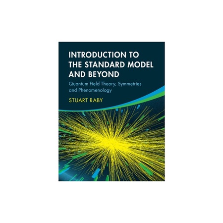 Introduction to the Standard Model and Beyond Quantum Field Theory ...