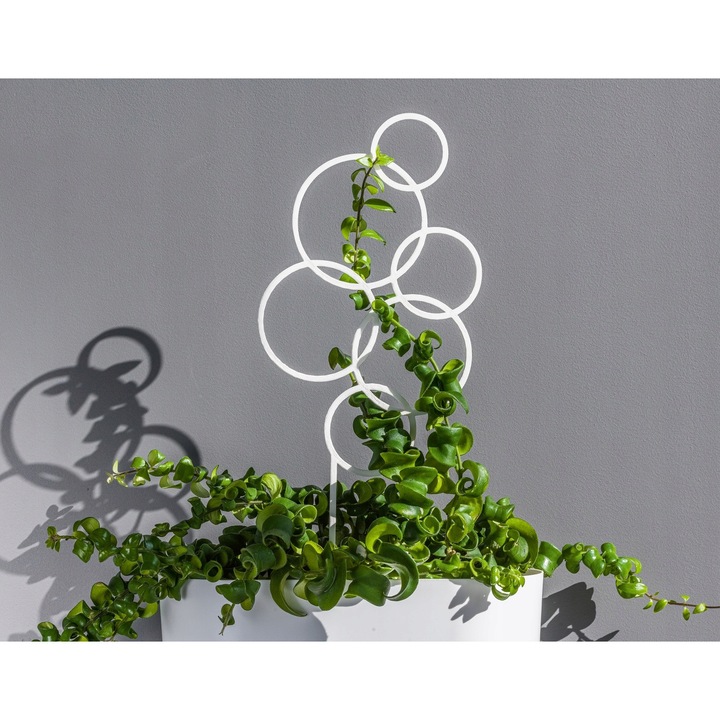 Cercuri De Sustinere Pentru Plante, Form-Plastic, Plastic, 39.5X16Cm, Alb