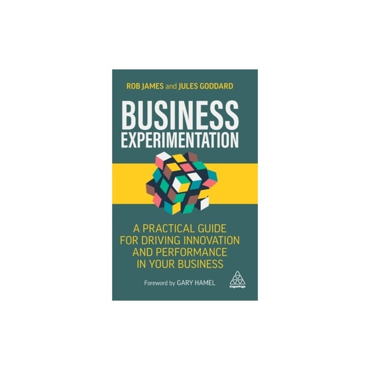 Business Experimentation A Practical Guide for Accelerating Innovation and Performance in Your Business, Jules Goddard
