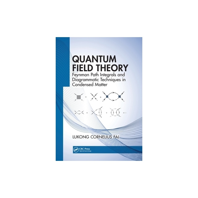 Quantum Field Theory Feynman Path Integrals And Diagrammatic Techniques ...