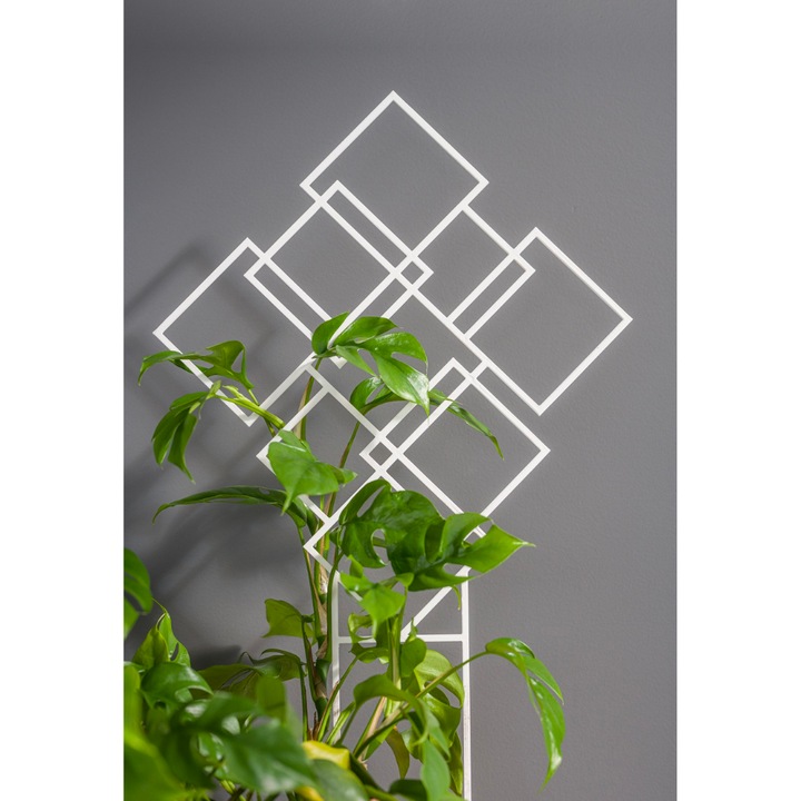 Patrate de sustinere pentru plante, Form-plastic, Plastic, 46x29.9cm, Alb