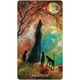 55 db-os kártyacsomag Moon Oracle Earthly Souls & Spirits - Terri Foss, US Games, angol, 8 x 13,5 cm