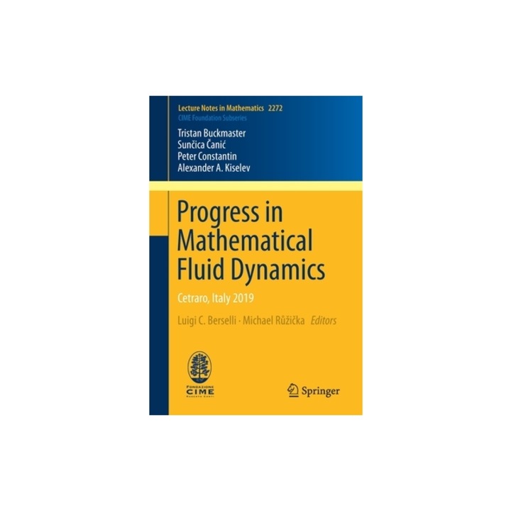 Progress in Mathematical Fluid Dynamics Cetraro, Italy 2019, Tristan Buckmaster
