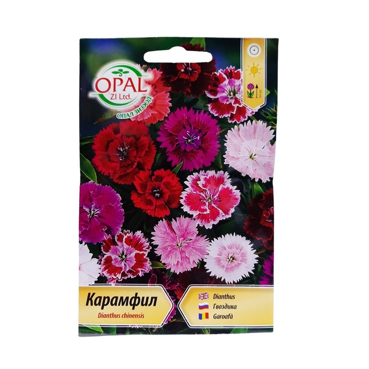 Seminte de Garoafa chinezeasca, 0,5 grame, Opal