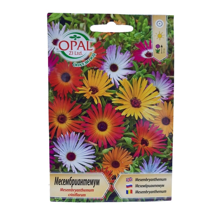 Seminte de Mesembryanthemum, iarba ghetii, 0.5 grame, Opal