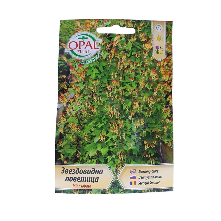 Seminte de Mina lobata, 0,5 grame, Opal