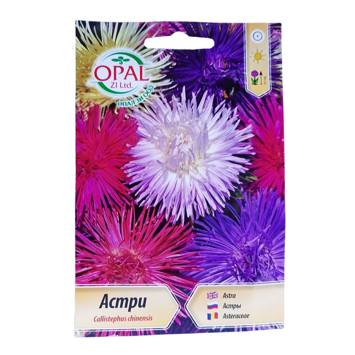 Seminte de Ochiul Boului Princess 0,7 grame, Opal