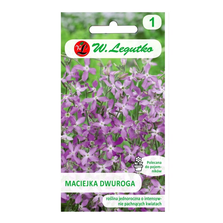 Seminte de lavanda roz Legutko, 2g