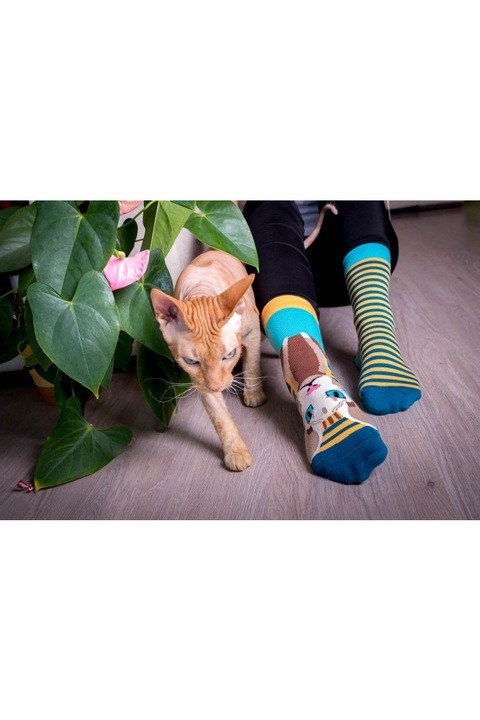Памучни чорапи Funky Cat