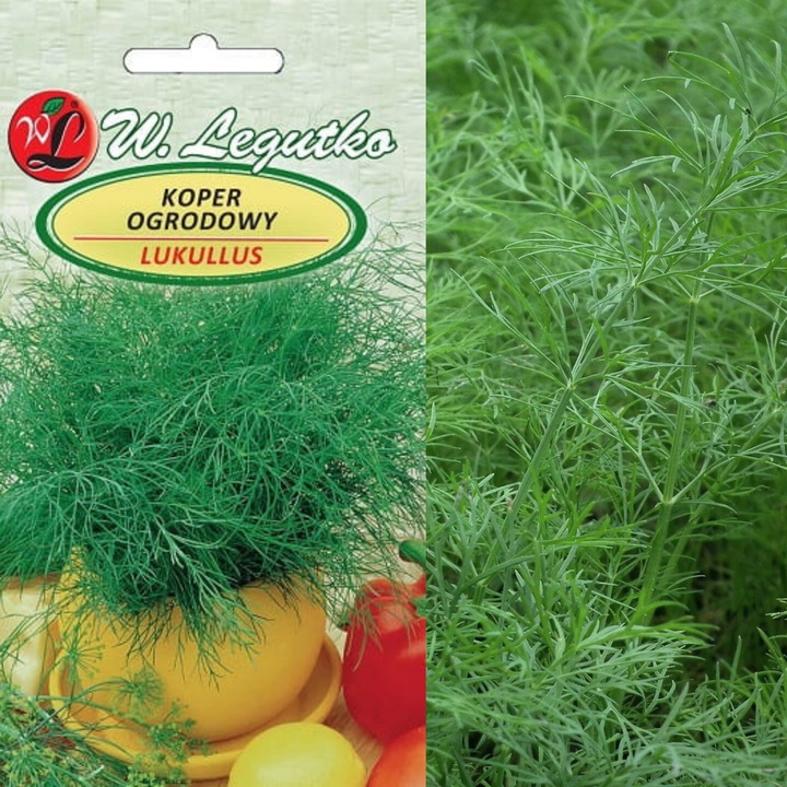 Seminte de marar, Legutko, Pentru sol fertil, Rezistent la mucegai, 5 g