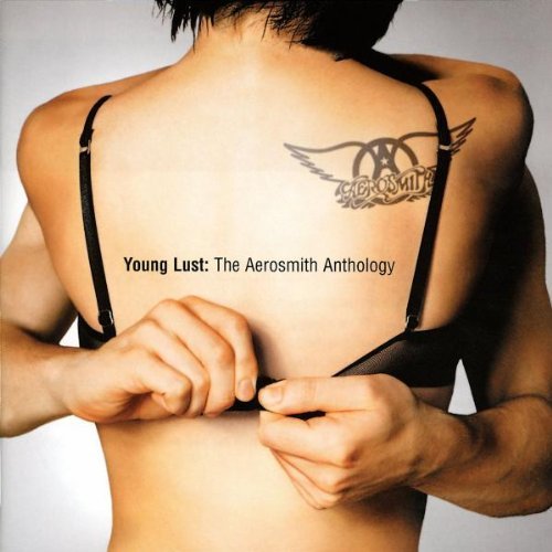 Aerosmith - Young Lust - The Anthology (2cd)