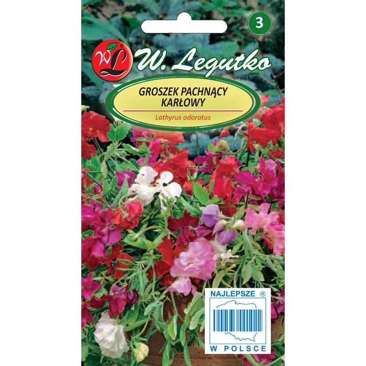 Seminte plante, Legutko, Flori, Pentru sol fertil, 3 g, Multicolor