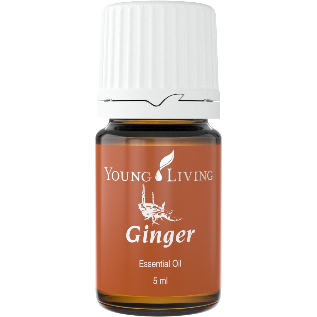 Ulei esential Ginger - 5 ml