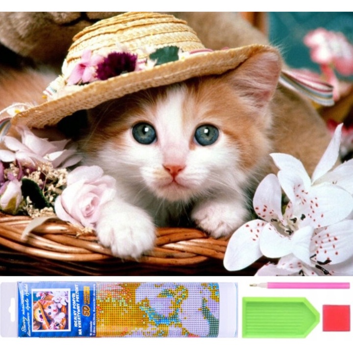 Pictura cu diamante, 5D, Pisica, Multicolor