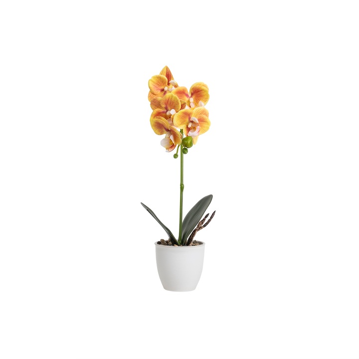 Orhidee cu aspect natural in ghiveci ceramic alb, diametru 8cm, H 32 cm / CD5145_Galben