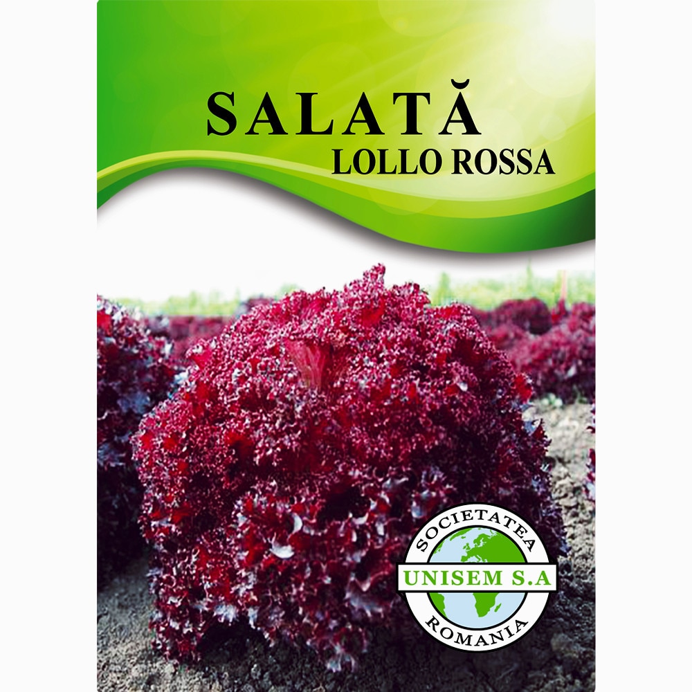 Seminte salata Lollo Rossa 3g