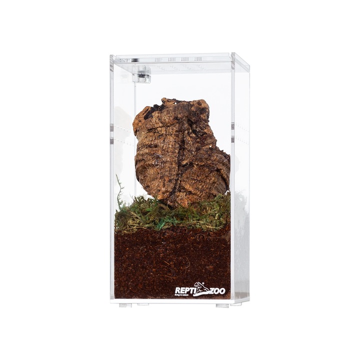 Terariu insecte, Repti-Zoo, Acril, 7.5 x 7.5 x 15 cm, Transparent