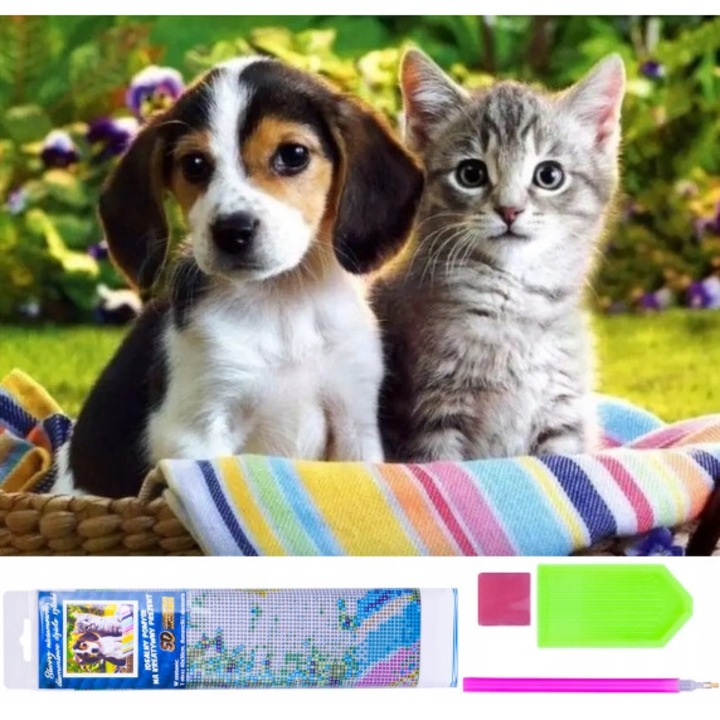 Gyémántszemes kirakó mozaik készlet, Norimpex, 5D, Macska és kiskutya, 10 év felett, Többszínű