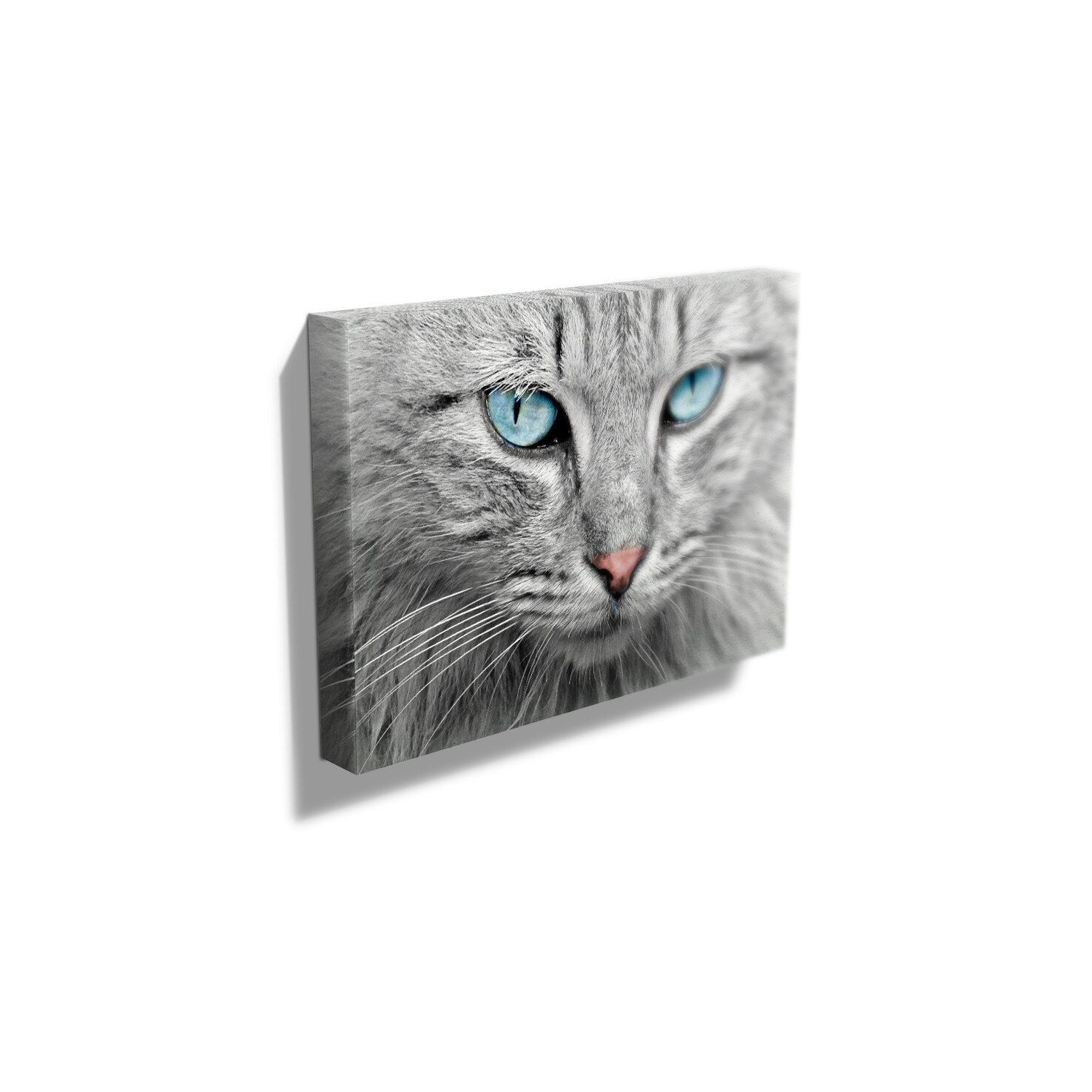 Tablou Canvas - 