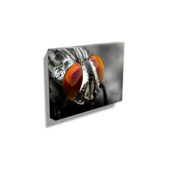 Tablou Canvas -  Tablou Canvas -