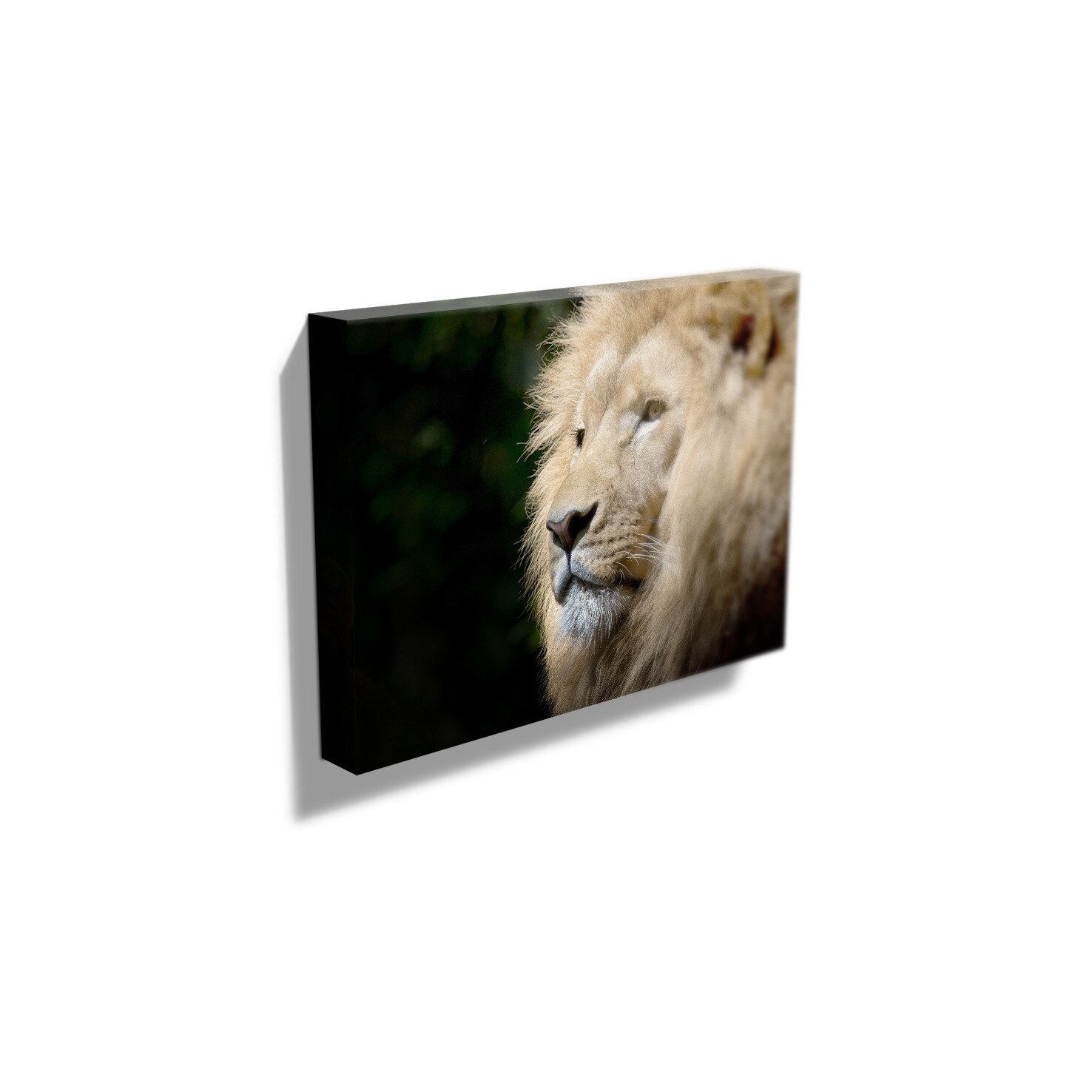 Tablou Animale Canvas - 