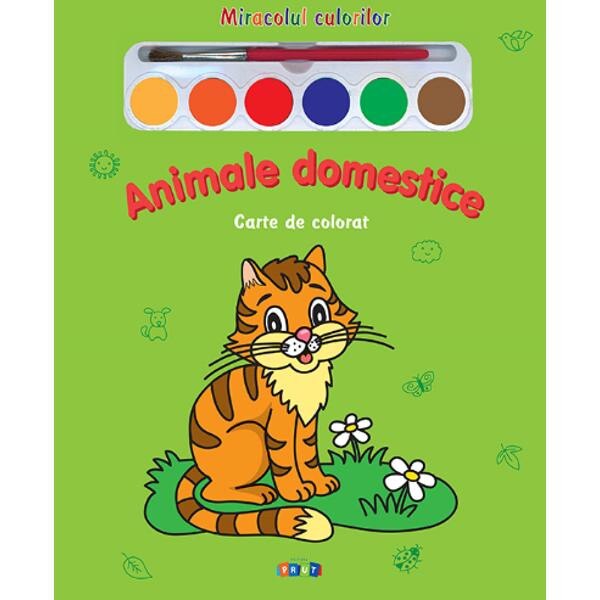 Animale domestice - Miracolul culorilor - Carte de colorat