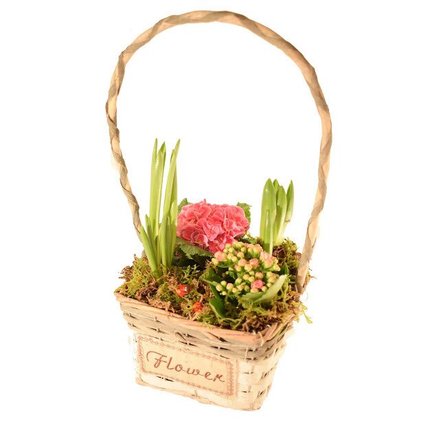 Cos cu Flori de primavara