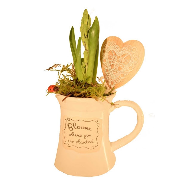 Carafa ceramica si bulb zambila