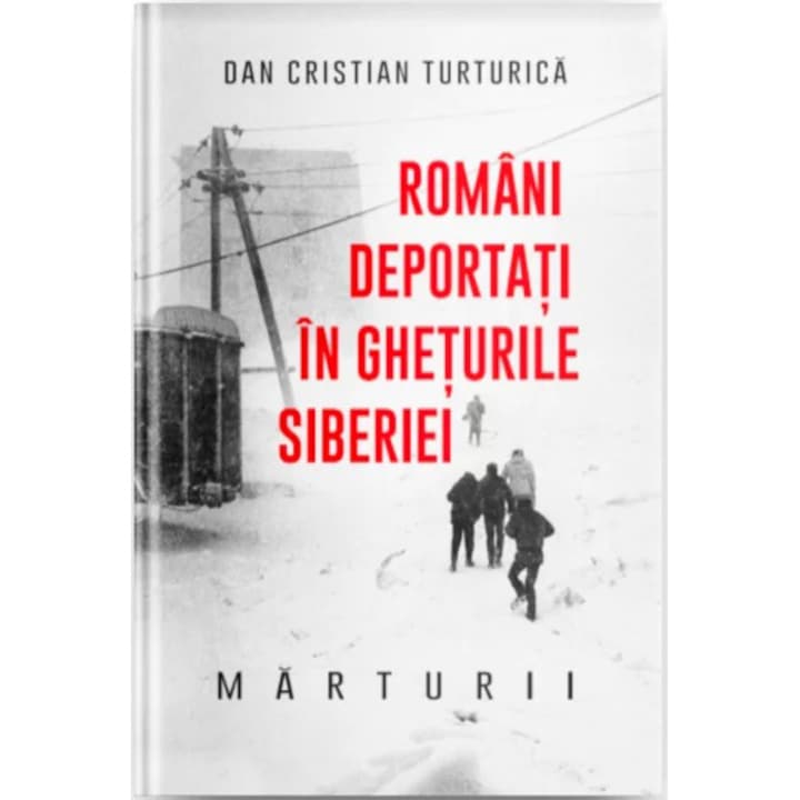 Romani deportati in gheturile Siberiei. Marturii - Dan Cristian Turturica
