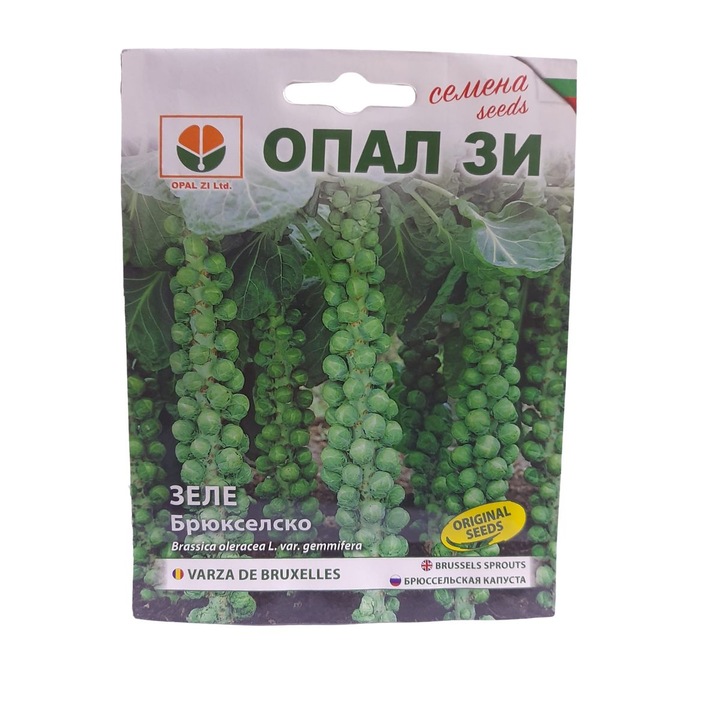 Seminte de varza de bruxelles, 3 grame, Opal
