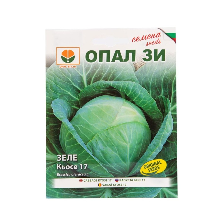 Seminte de varza Kyose 17, 5 grame, Opal