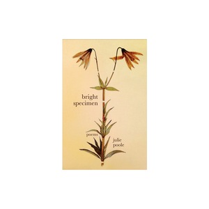 Poezie, teatru, studii literare