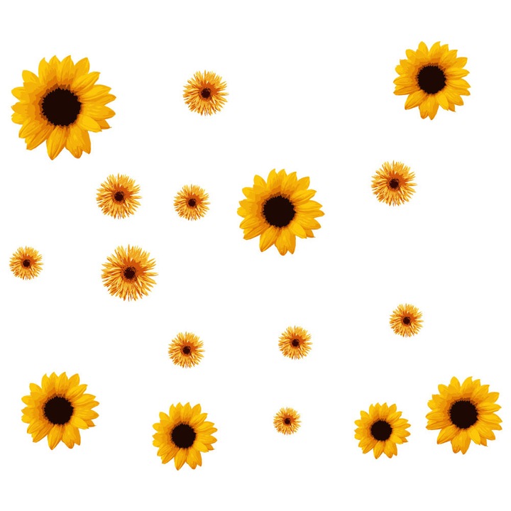 Sticker Decorativ - Floarea Soarelui - 60 x 90cm