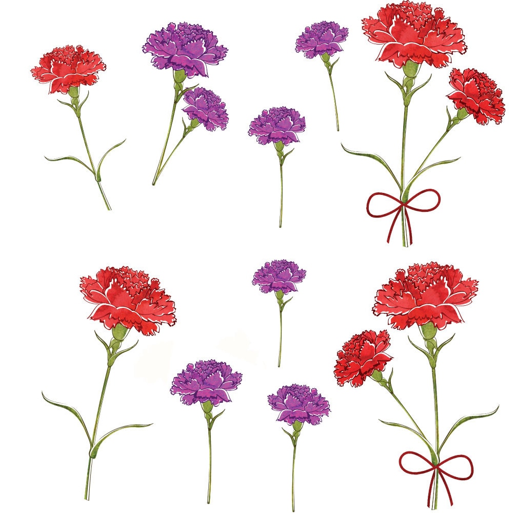 Sticker Decorativ - Garoafe Colorate - 30 x 90cm
