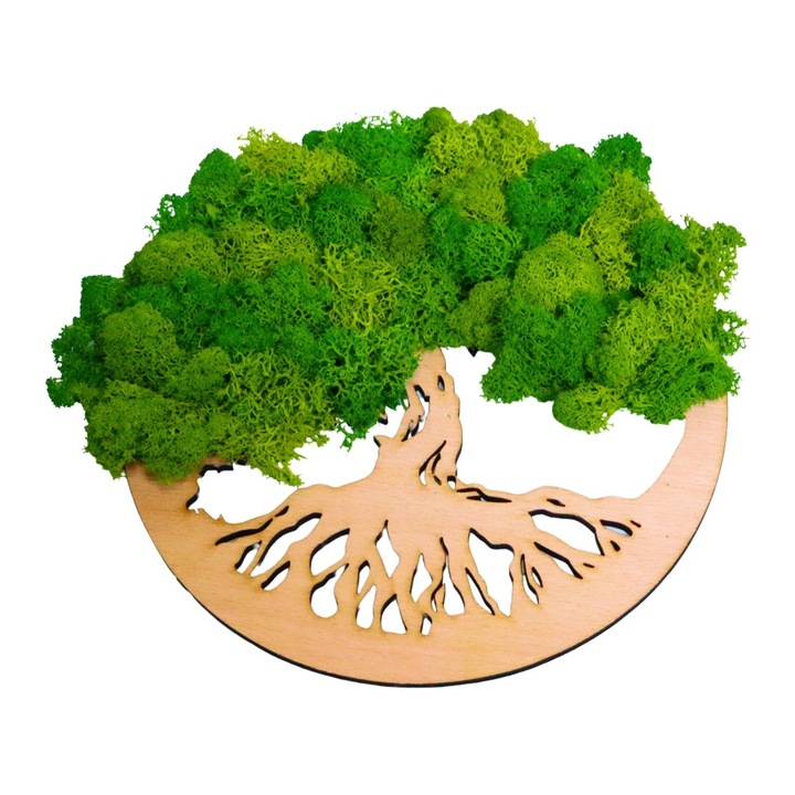 Tablou Copacul Vietii, Licheni Naturali Stabilizati, Verde, 35 cm, DL006