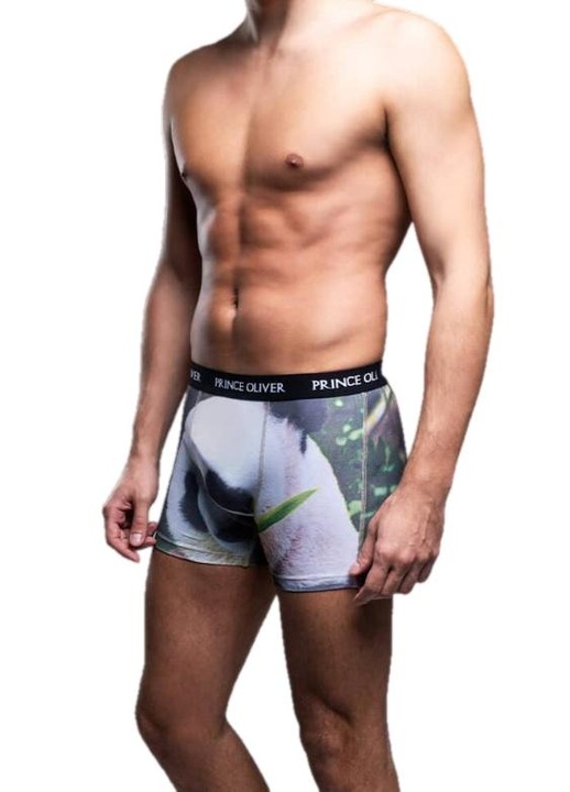 Boxeri barbati Prince Oliver, Bumbac, Multicolor