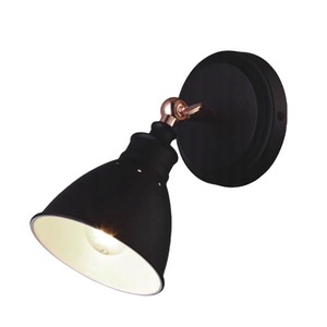 Aplice si plafoniere