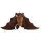 Liliac, W-web, Plus, 65 cm, Maro