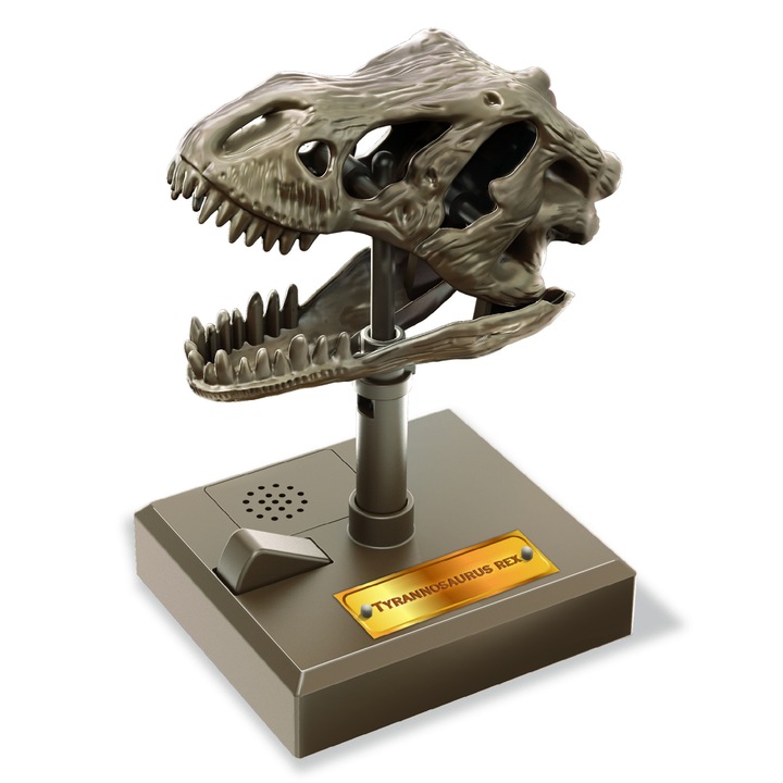 KidzLabs T-Rex Skull játék hangokkal, 4M, +5 év