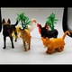 Set 7 figurine animale domestice, Animal Kingdom, multicolor, 12 cm, Vision XXI