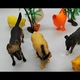Set 7 figurine animale domestice, Animal Kingdom, multicolor, 12 cm, Vision XXI