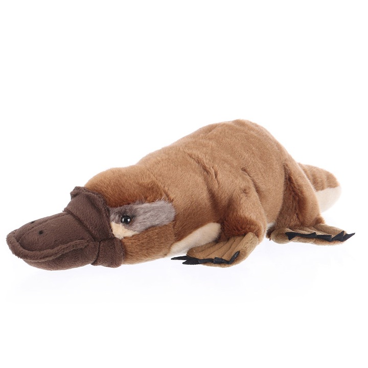 Jucarie de plus, W-web, Pancho, ornitorinc, 42cm