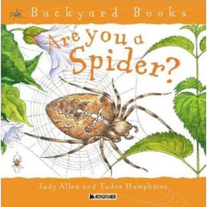 Are You a Spider?, Judy Allen