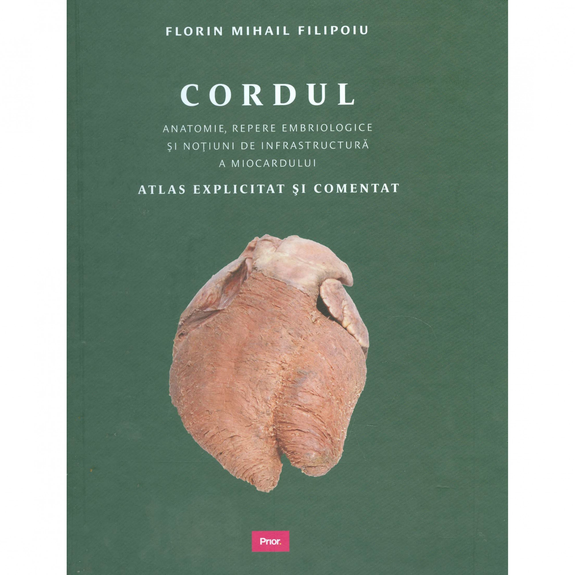 Cordul - Florin Mihail Filipoiu