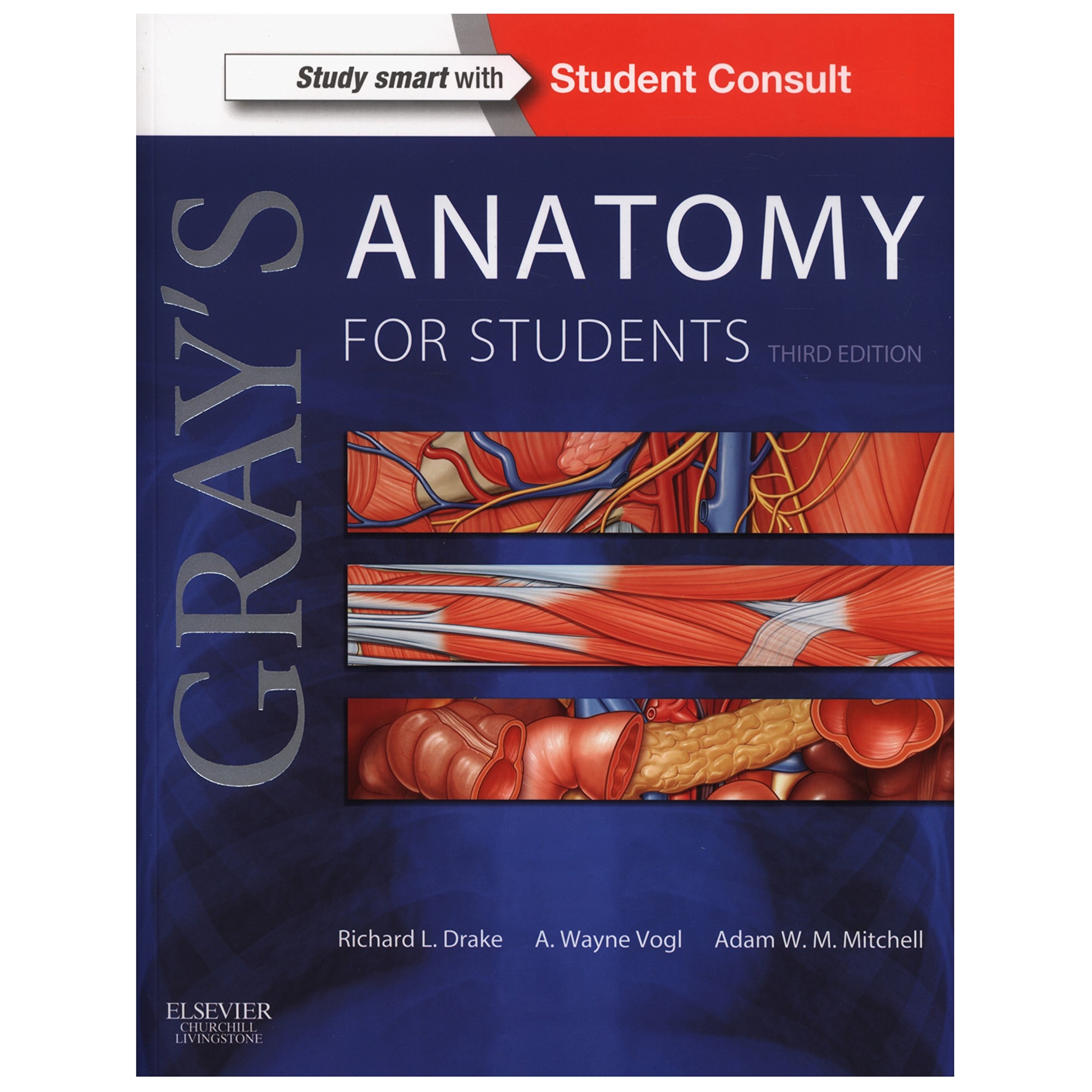 Gray's Anatomy for Students - Richard Drake PhD FAAA, A. Wayne Vogl PhD FAAA