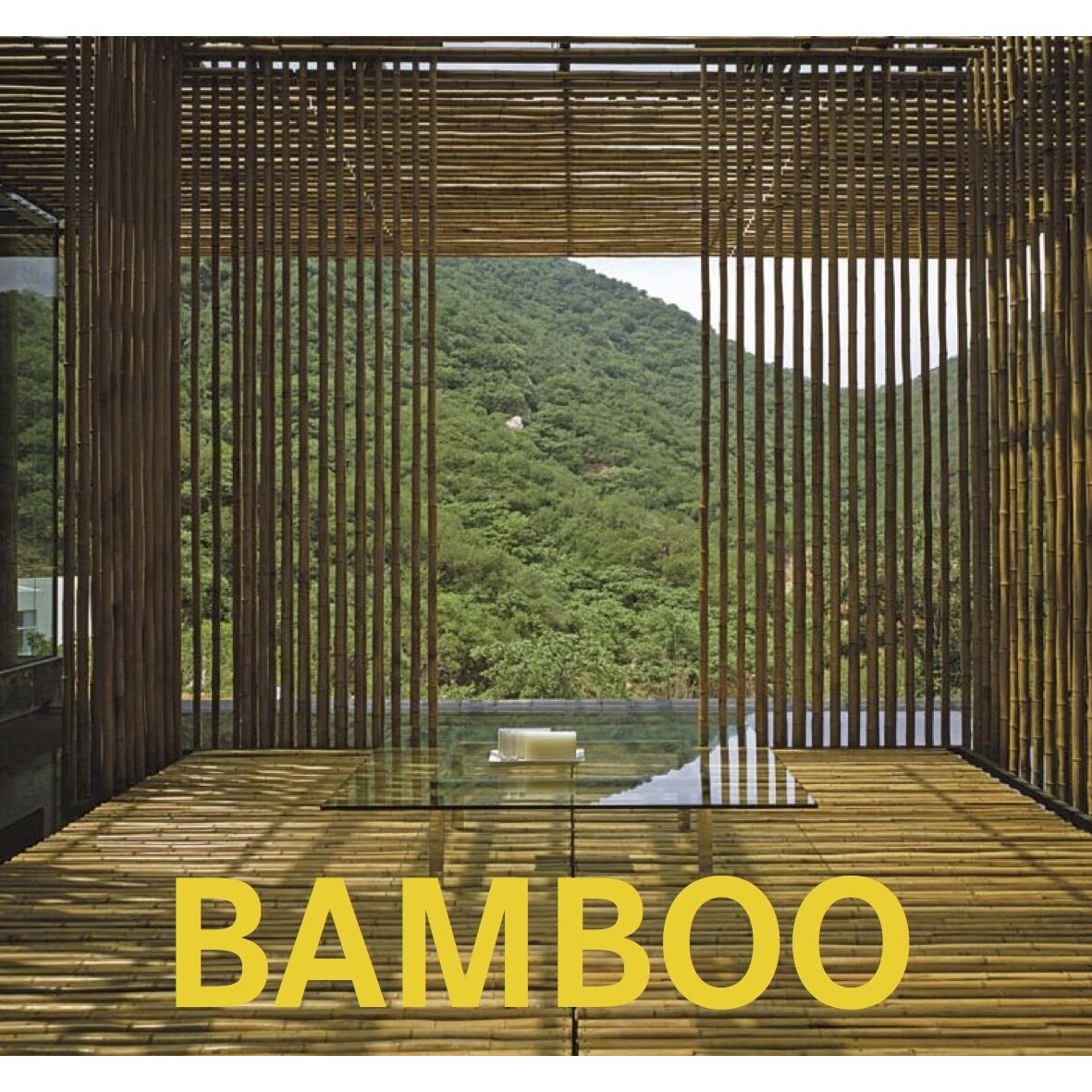 Bamboo
