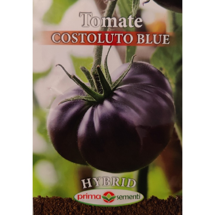 Seminte Tomate Costoluto Blue 0.1 g