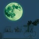 Sticker Glow in the dark Luxer, Autocolant Luna Fosforescenta, Verde, 30 cm